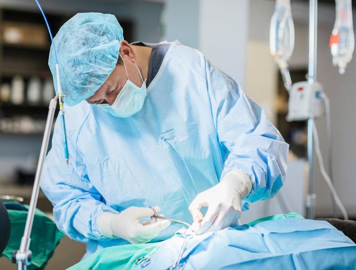 $City Veterinary Surgeries